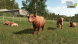 Игра Farming Simulator 25. Highlands Fishing Edition [PS5, русские субтитры] в Севастополе