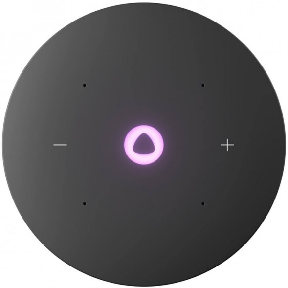 Умная колонка Яндекс Станция Мини 3 Про с Алисой с Zigbee, серый в Севастополе