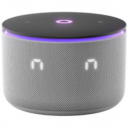Умная колонка Яндекс Станция Мини 3 Про с Алисой с Zigbee, серый