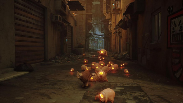 Игра Stray [Nintendo Switch, русские субтитры] в Севастополе