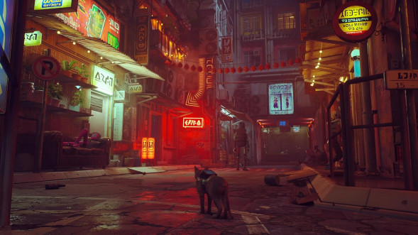 Игра Stray [Nintendo Switch, русские субтитры] в Севастополе