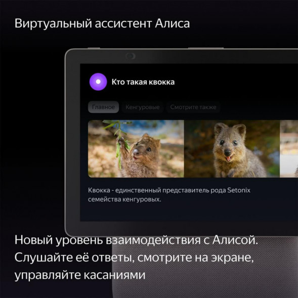 Яндекс Станция Дуо Макс с Алисой, с Zigbee, 60 Вт, бежевый в Севастополе