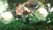 Игра Monster Hunter Generations Ultimate [Nintendo Switch, английская версия] в Севастополе
