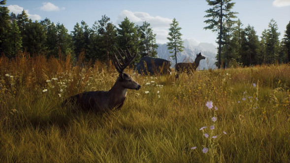 Игра Way of the Hunter [PS5, русские субтитры] в Севастополе