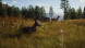 Игра Way of the Hunter [PS5, русские субтитры] в Севастополе