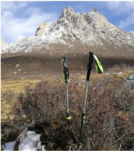 Треккинговая палка Naturehike 135 см, 1шт., серый/зеленый в Севастополе