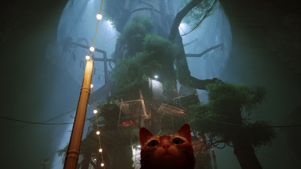 Игра Stray [PS5, русские субтитры] в Севастополе