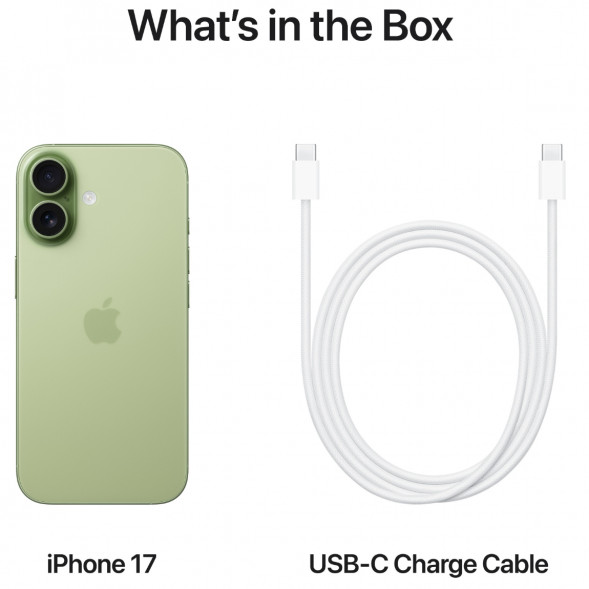 Смартфон Apple iPhone 17 512GB eSim, Sage в Севастополе