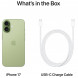 Смартфон Apple iPhone 17 512GB eSim, Sage в Севастополе