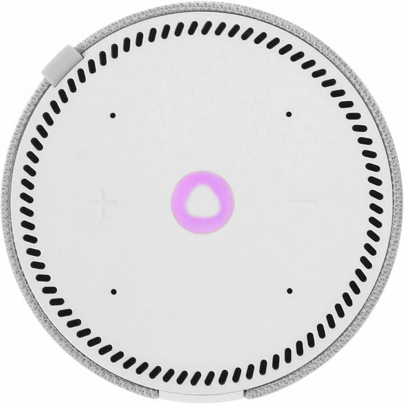 Умная колонка Яндекс Станция Мини (без часов), cерый опал в Севастополе