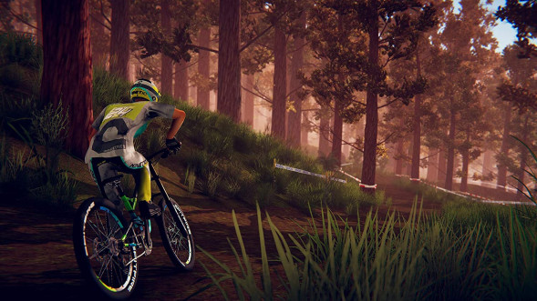 Игра Descenders [Nintendo Switch, английская версия] в Севастополе