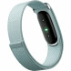 Фитнес-браслет Google Fitbit Air (Серо-голубой/Fog) в Севастополе