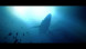 Игра Under The Waves [PS4, русские субтитры] в Севастополе