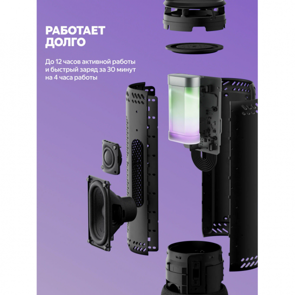 Умная портативная колонка Яндекс Станция Стрит с Алисой, черный в Севастополе