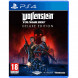 Игра Wolfenstein Youngblood Deluxe Edition [PS4, русская версия] в Севастополе