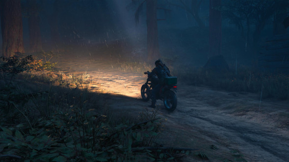 Игра Жизнь После (Days Gone) [PS4, русская версия] в Севастополе